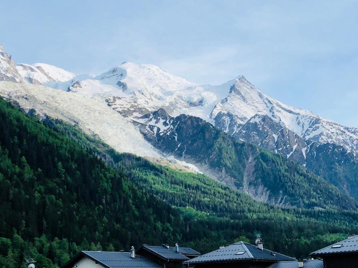 Mont Blanc 43, Vue Mont Blanc , Balcon, Parking Lejlighed Chamonix Eksteriør billede