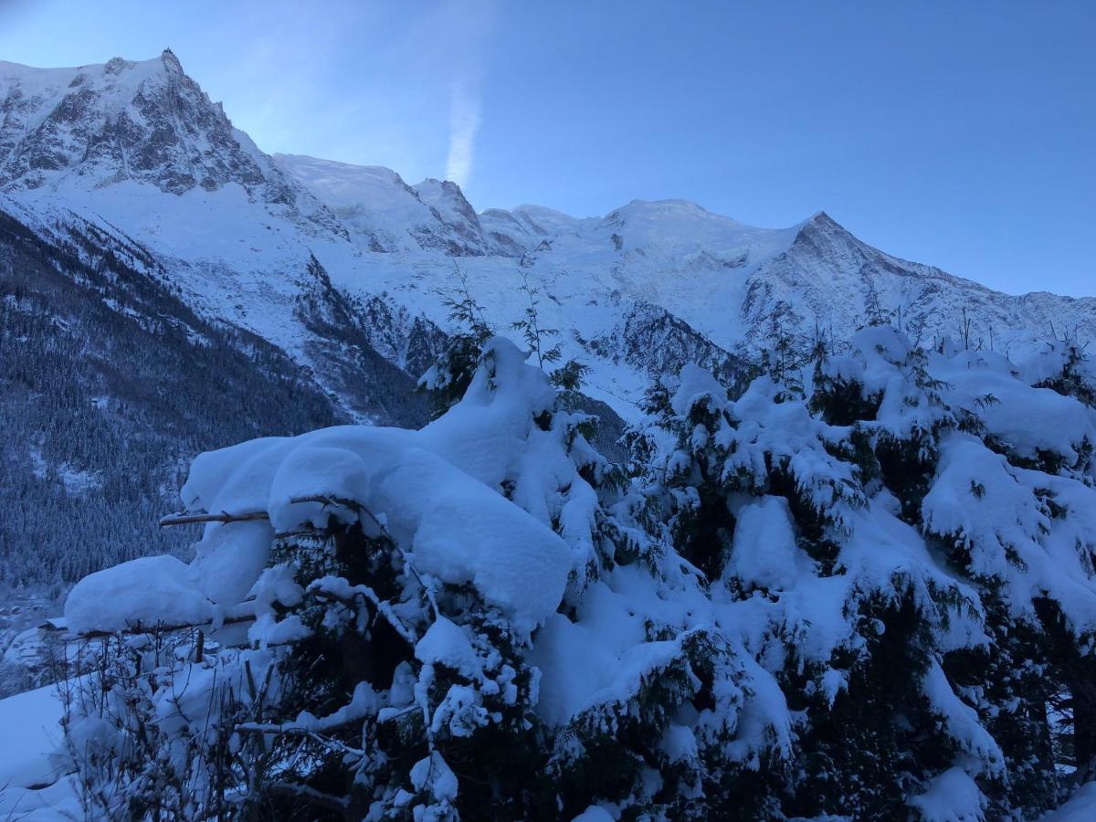 Mont Blanc 43, Vue Mont Blanc , Balcon, Parking Lejlighed Chamonix Eksteriør billede